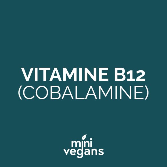 Vitamine B12 uitleg voor veganisme